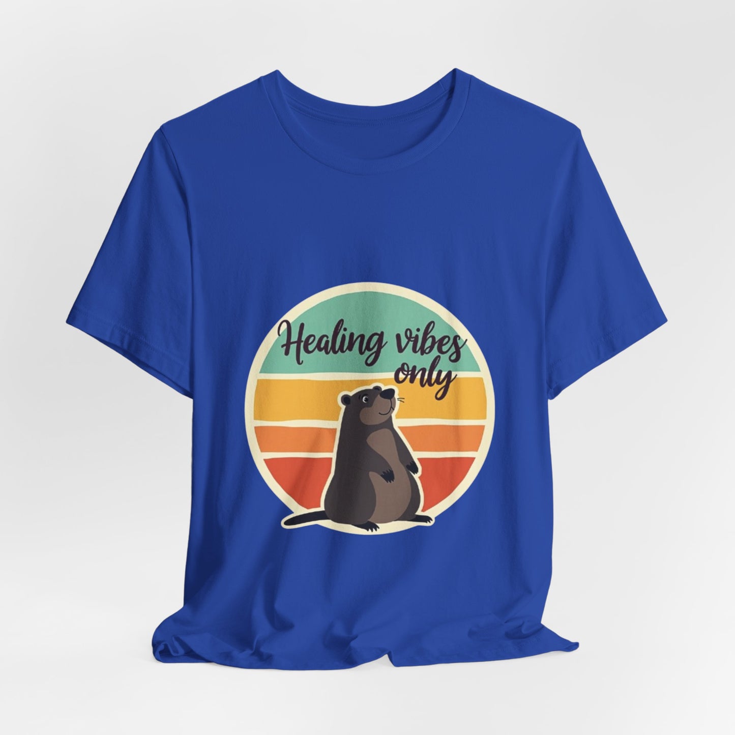 Unisex Tee - Healing Vibes Only