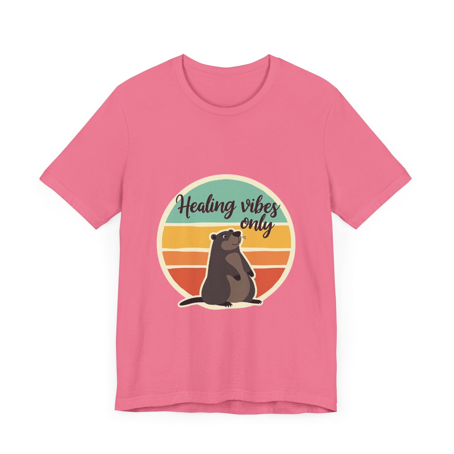 Unisex Tee - Healing Vibes Only