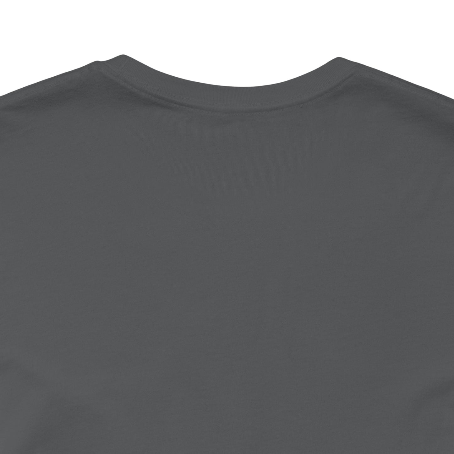 Vintage Unisex Tee - The Couch Life Chose Me