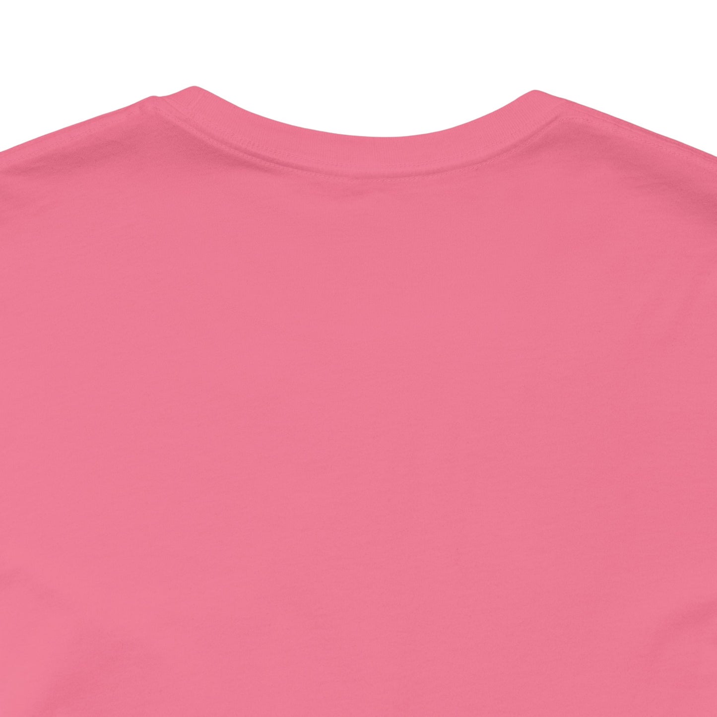 Vintage Unisex Tee - The Couch Life Chose Me
