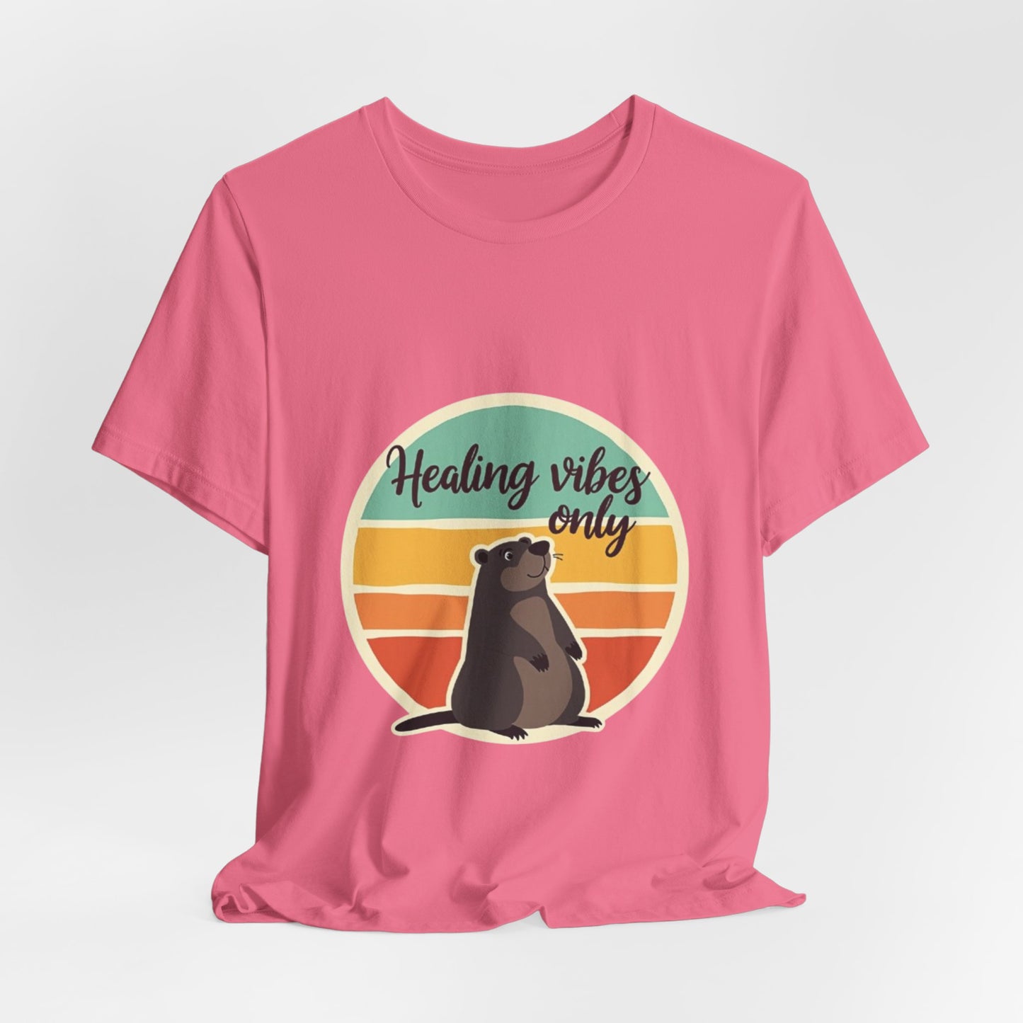 Unisex Tee - Healing Vibes Only