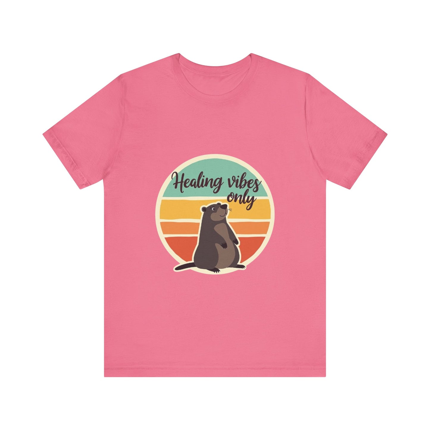 Unisex Tee - Healing Vibes Only